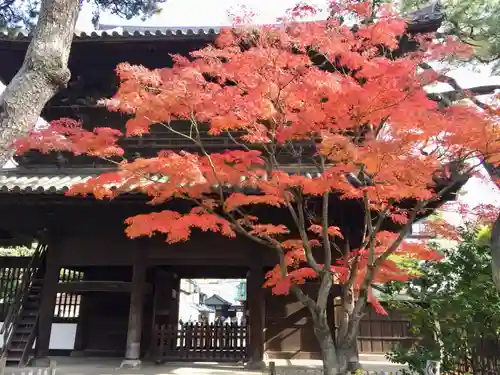 泉岳寺の山門・神門