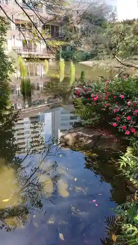 東郷神社の庭園