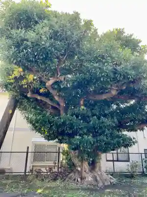 巽神社(神奈川県)