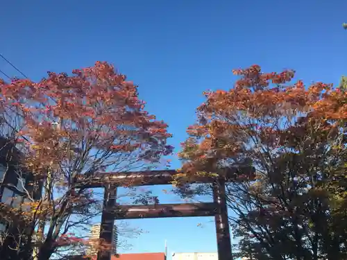 豊平神社の鳥居