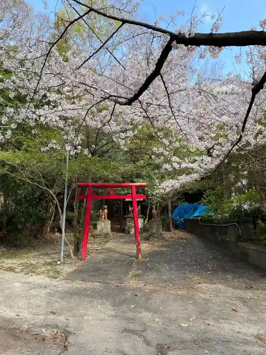 西光寺(相持院)の鳥居