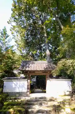 地蔵院(京都府)