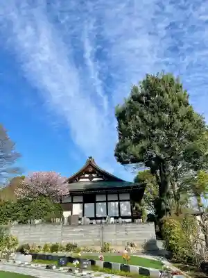 金蔵院の{uncategorized: "未分類", other: "その他", undefined: "問題あり", building: "その他建物", grave: "お墓", sacred_gate: "鳥居", guardian: "狛犬", statue: "像", buddha: "仏像", history: "歴史", nature: "自然", garden: "庭園", animal: "動物", pagoda: "塔", temizu: "手水舎", mountain_gate: "山門・神門", sanctuary: "本殿・本堂", subordinate: "末社・摂社", art: "芸術", scenery: "景色", jizo: "地蔵", ema: "絵馬", goshuin: "御朱印", omikuji: "おみくじ", items: "授与品その他", amulet: "お守り", goshuincho: "御朱印帳", eats: "食事", festival: "お祭り", votive_dance: "神楽", shichigosan: "七五三参", wedding: "結婚式", experience: "体験その他", initially: "初詣", around: "周辺", anti_infection: "感染症対策"}
