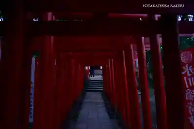 武蔵一宮氷川神社の鳥居