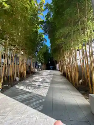 梅窓院(東京都)