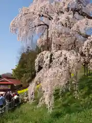 瀧桜神明宮の自然