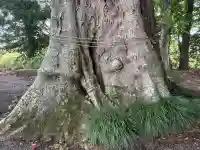 八幡宮(栃木県)