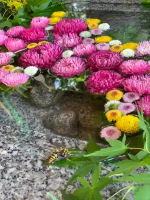 滑川神社 - 仕事と子どもの守り神の手水舎