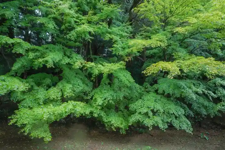 南原寺(山口県)