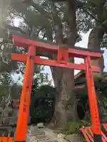 伏見稲荷本教間力教会(京都府)