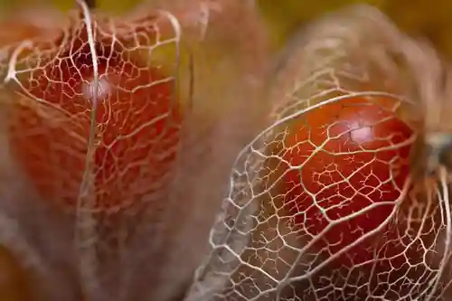 一乗寺の授与品その他