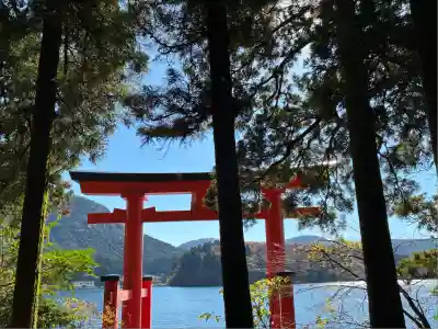 箱根神社(神奈川県)