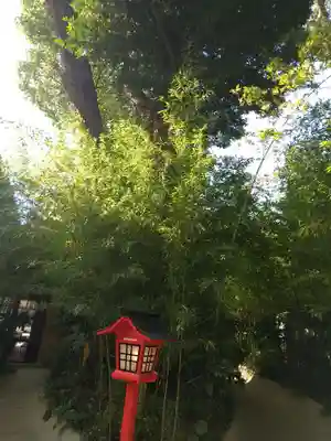 來宮神社のその他建物