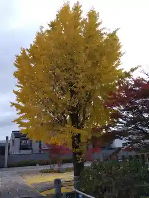 妙覺寺（妙覚寺）(京都府)