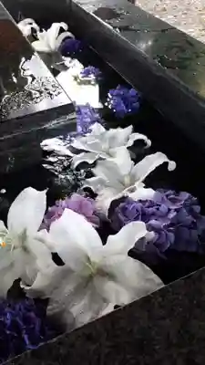 新琴似神社の手水舎