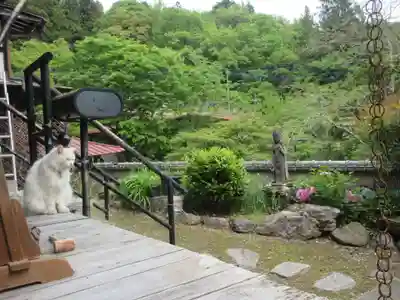 光珠院(埼玉県)