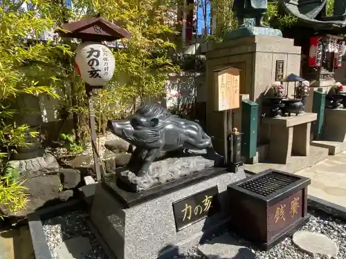 摩利支天 徳大寺(東京都)