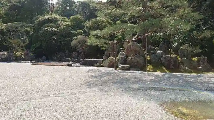金地院の庭園