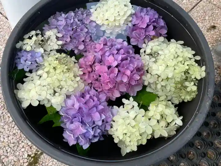 美幌神社(北海道)