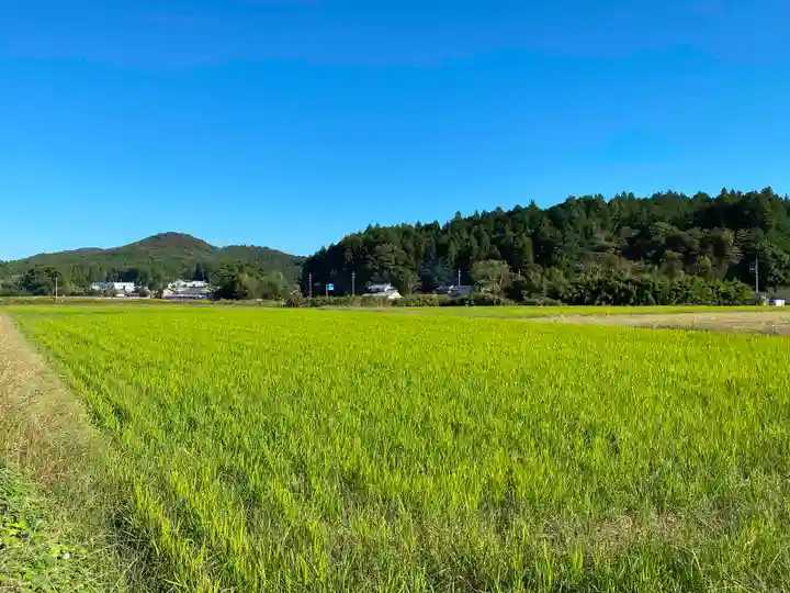 大井神社(太郎神社)の周辺