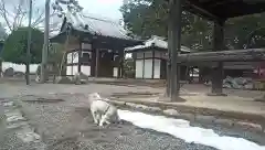 法善寺(山梨県)