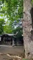 川口神社のその他建物
