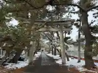 玉敷神社の{uncategorized: "未分類", other: "その他", undefined: "問題あり", building: "その他建物", grave: "お墓", sacred_gate: "鳥居", guardian: "狛犬", statue: "像", buddha: "仏像", history: "歴史", nature: "自然", garden: "庭園", animal: "動物", pagoda: "塔", temizu: "手水舎", mountain_gate: "山門・神門", sanctuary: "本殿・本堂", subordinate: "末社・摂社", art: "芸術", scenery: "景色", jizo: "地蔵", ema: "絵馬", goshuin: "御朱印", omikuji: "おみくじ", items: "授与品その他", amulet: "お守り", goshuincho: "御朱印帳", eats: "食事", festival: "お祭り", votive_dance: "神楽", shichigosan: "七五三参", wedding: "結婚式", experience: "体験その他", initially: "初詣", around: "周辺", anti_infection: "感染症対策"}