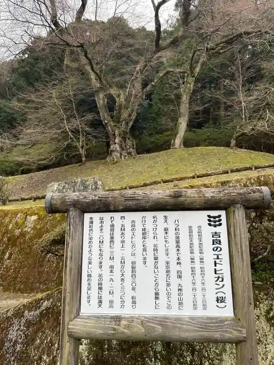 御所神社(徳島県)