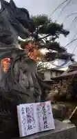 龍城神社の狛犬