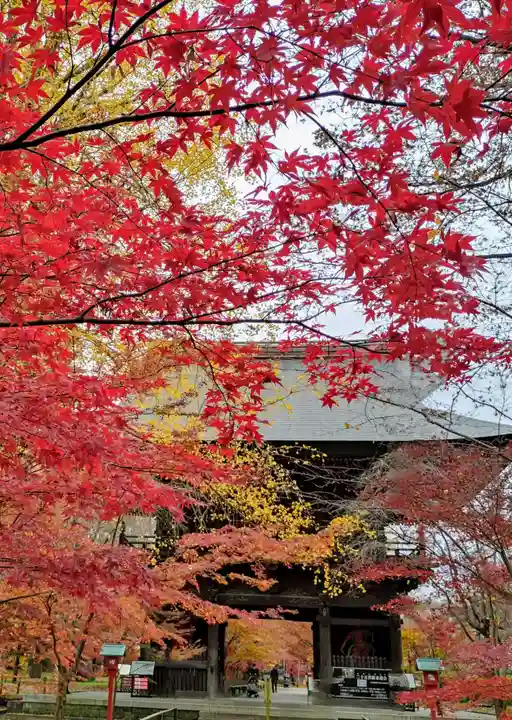 淨眞寺(東京都)