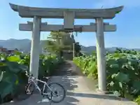 大将軍神社(徳島県)