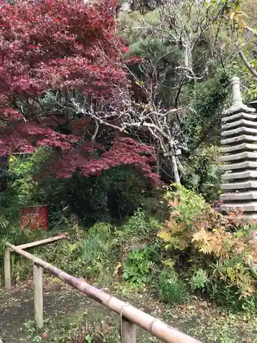 浄光明寺の庭園