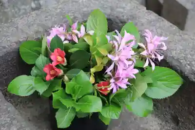 熊野福藏神社の手水舎