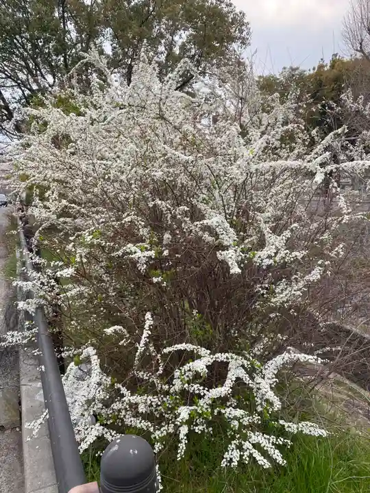 雪御所地蔵尊(兵庫県)