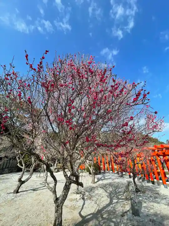 綱敷天満宮の自然