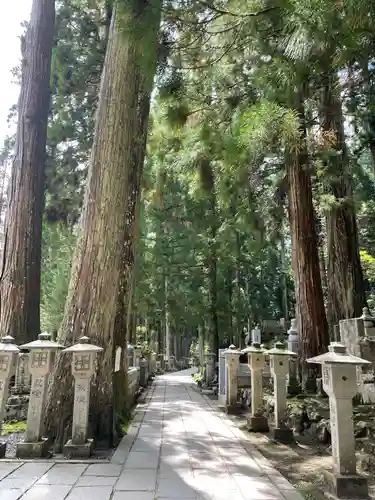 高野山金剛峯寺奥の院(和歌山県)