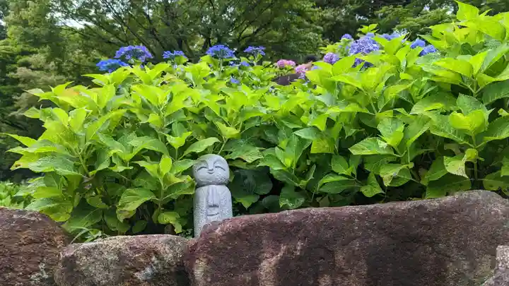 柳谷観音 楊谷寺(京都府)
