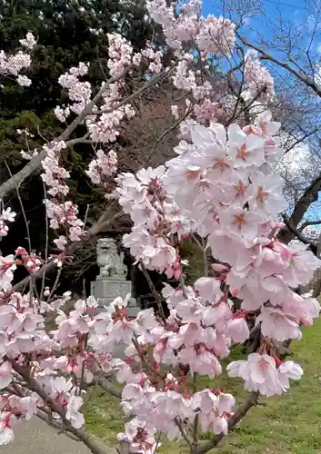 蚊里田八幡宮(長野県)
