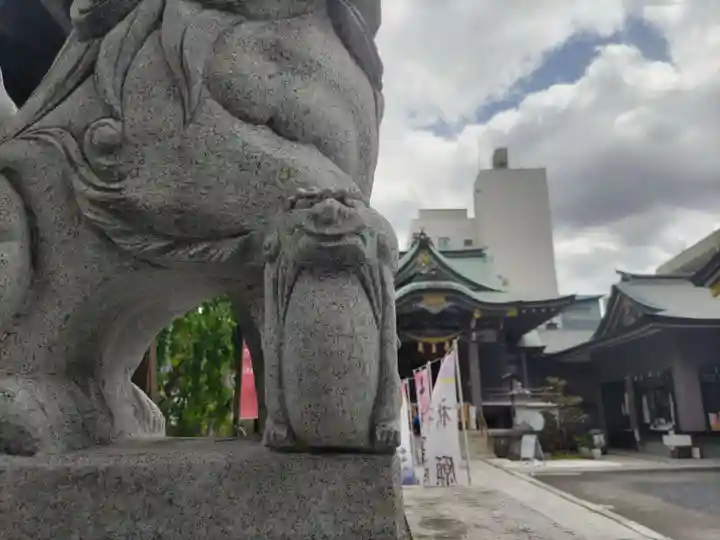 柏神社の狛犬