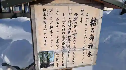 空知神社の自然