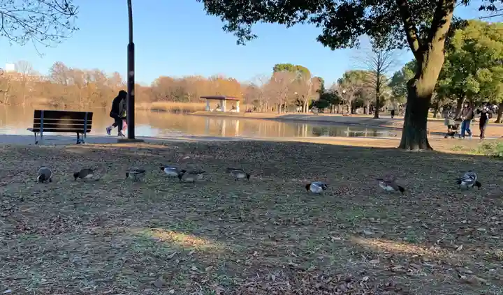 香取神社(東京都)