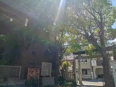 八阪神社(大阪府)
