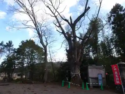 鹿島神社(福島県)
