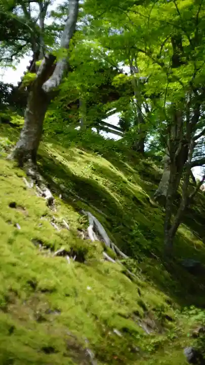 常寂光寺(京都府)