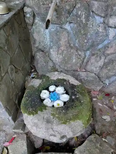 柳谷観音　楊谷寺(京都府)