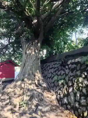 腹五社神社(鹿児島県)