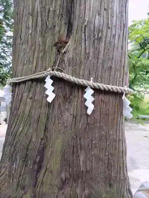 高司神社〜むすびの神の鎮まる社〜(福島県)