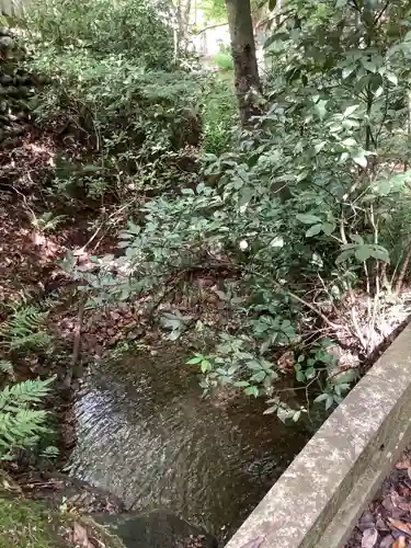 犬山寂光院の自然