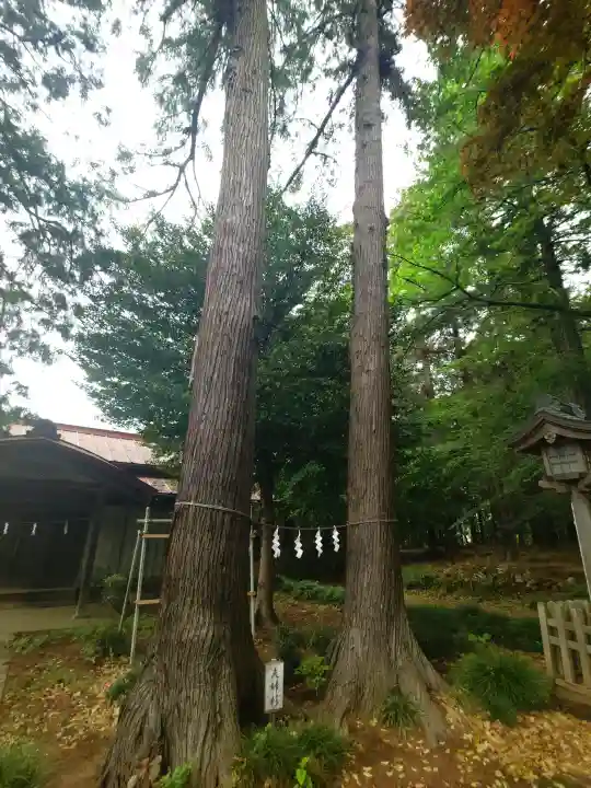 大宮住吉神社の{uncategorized: "未分類", other: "その他", undefined: "問題あり", building: "その他建物", grave: "お墓", sacred_gate: "鳥居", guardian: "狛犬", statue: "像", buddha: "仏像", history: "歴史", nature: "自然", garden: "庭園", animal: "動物", pagoda: "塔", temizu: "手水舎", mountain_gate: "山門・神門", sanctuary: "本殿・本堂", subordinate: "末社・摂社", art: "芸術", scenery: "景色", jizo: "地蔵", ema: "絵馬", goshuin: "御朱印", omikuji: "おみくじ", items: "授与品その他", amulet: "お守り", goshuincho: "御朱印帳", eats: "食事", festival: "お祭り", votive_dance: "神楽", shichigosan: "七五三参", wedding: "結婚式", experience: "体験その他", initially: "初詣", around: "周辺", anti_infection: "感染症対策"}