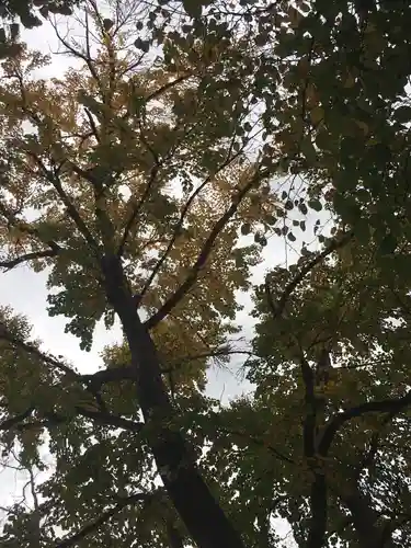 錦山天満宮の自然